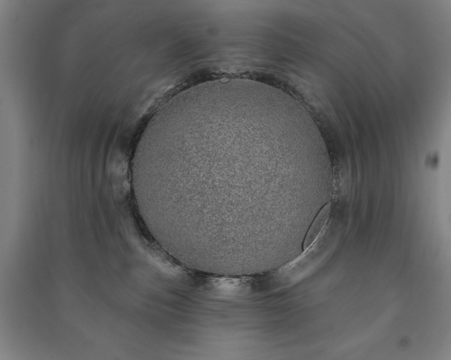 X0000091210187200708161550