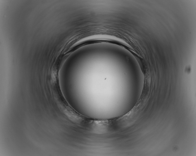 X0000091210188200708161550
