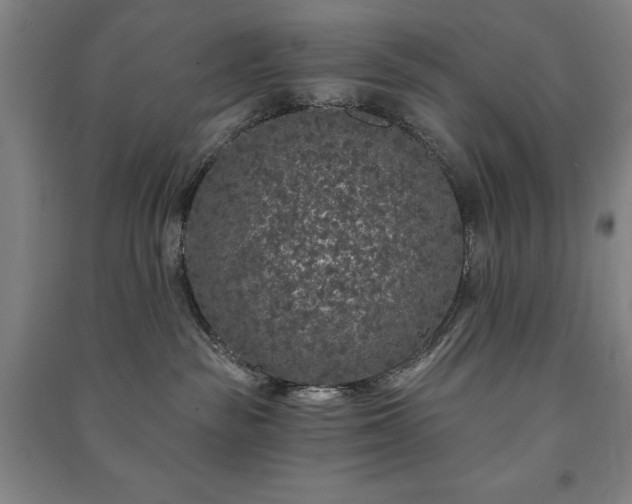 X0000091210189200708161550