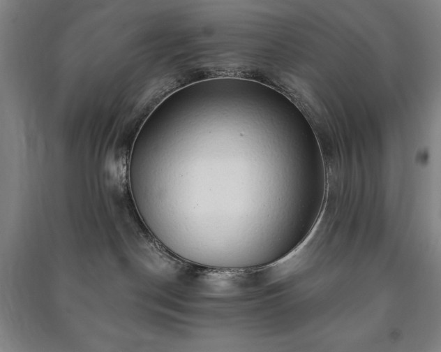X0000091210190200708161550