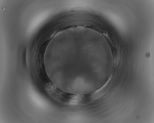 X0000091210191200708161550