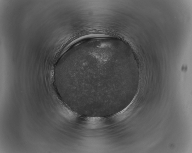 X0000091210192200708161550