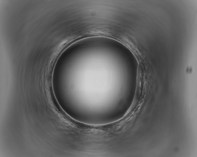 X0000091210193200708161550