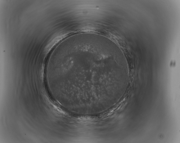 X0000091210194200708161550