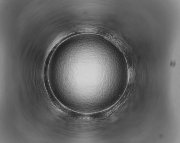 X0000091210195200708161550