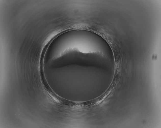 X0000091210196200708161550