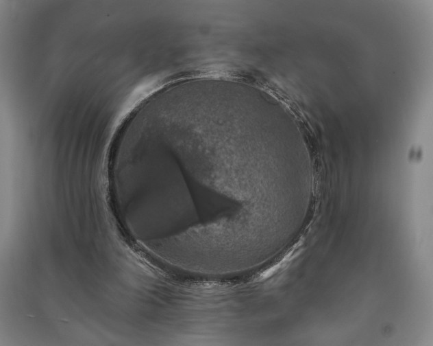 X0000091210198200708161550