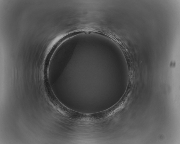 X0000091210200200708161550