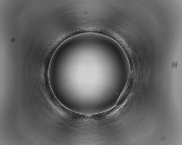 X0000091210201200708161550
