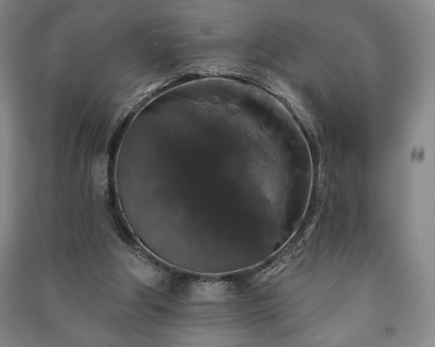 X0000091210202200708161550