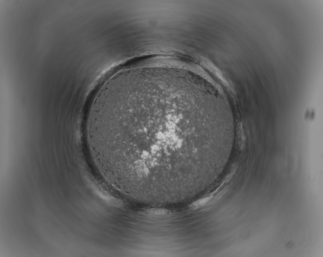 X0000091210203200708161550