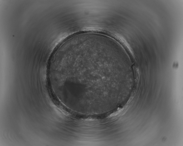 X0000091210204200708161550