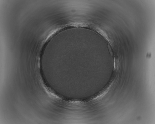 X0000091210205200708161550