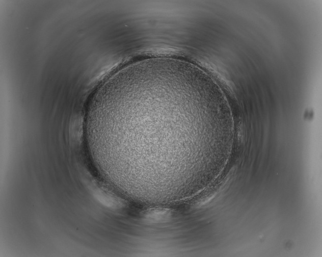 X0000091210206200708161550