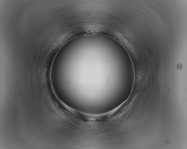 X0000091210209200708161550