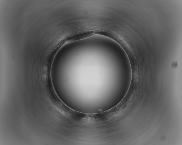 X0000091210211200708161550