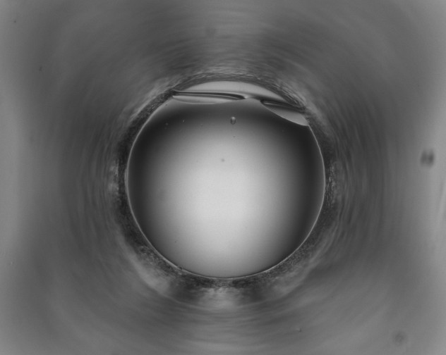 X0000091210212200708161550