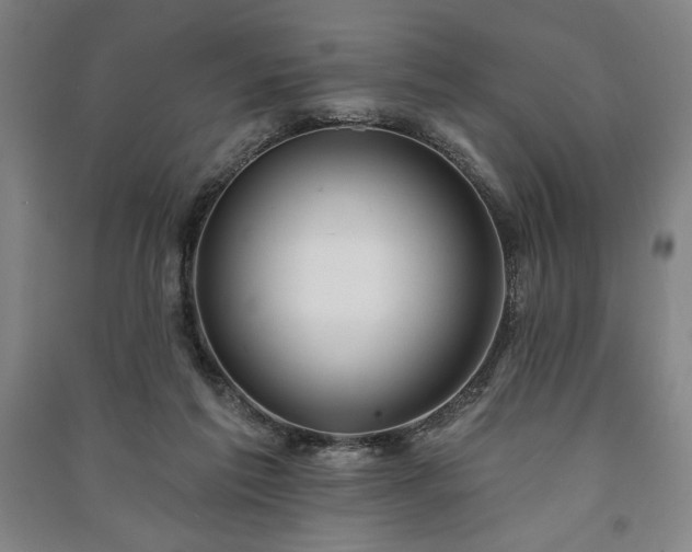 X0000091210213200708161550