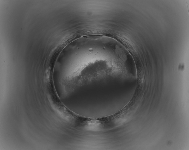 X0000091210214200708161550