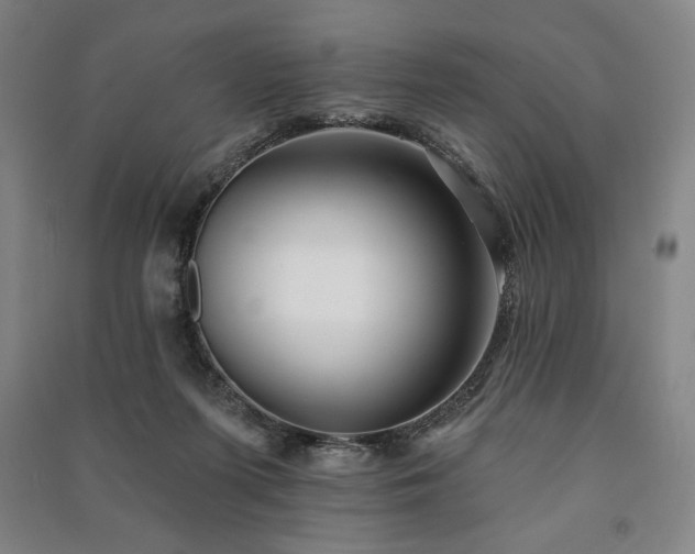 X0000091210215200708161550