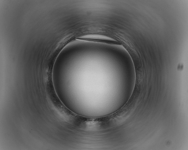 X0000091210216200708161550