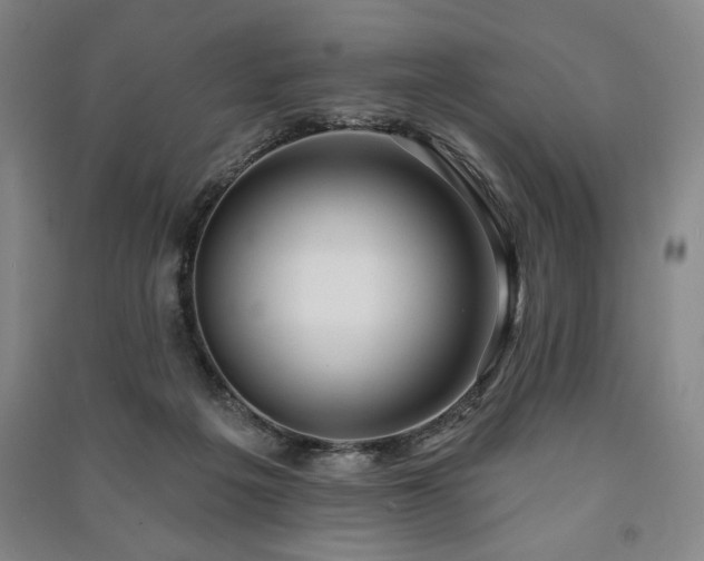 X0000091210217200708161550