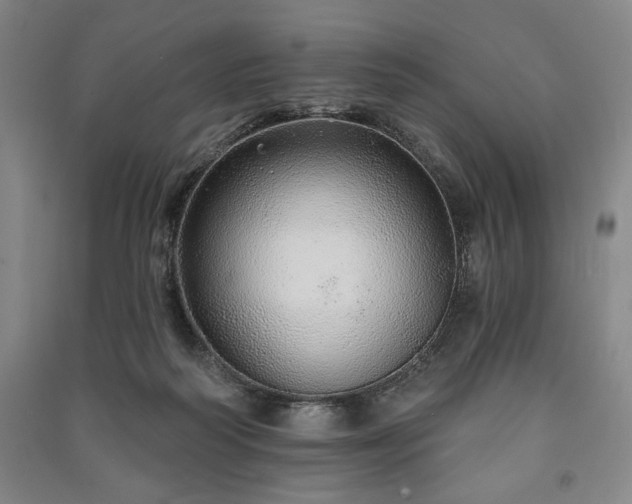 X0000091210218200708161550