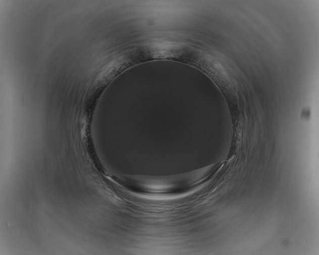 X0000091210219200708161550