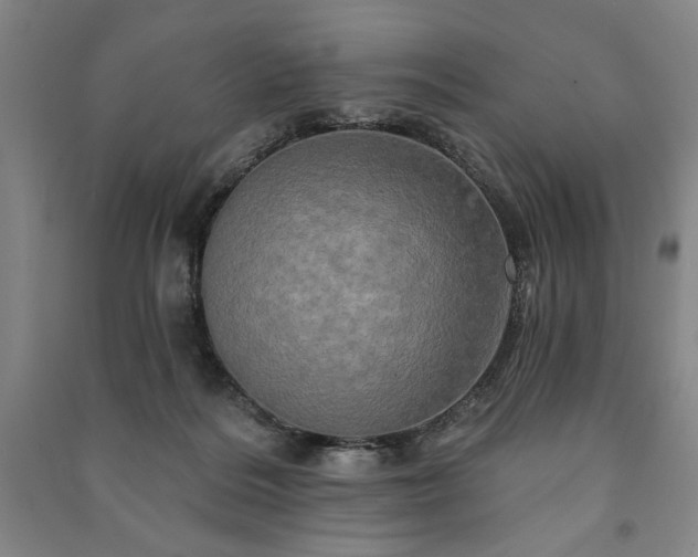 X0000091210220200708161550