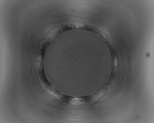 X0000091210222200708161550