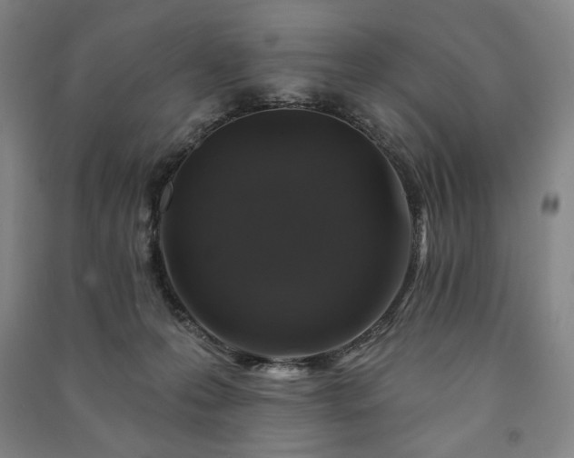 X0000091210223200708161550
