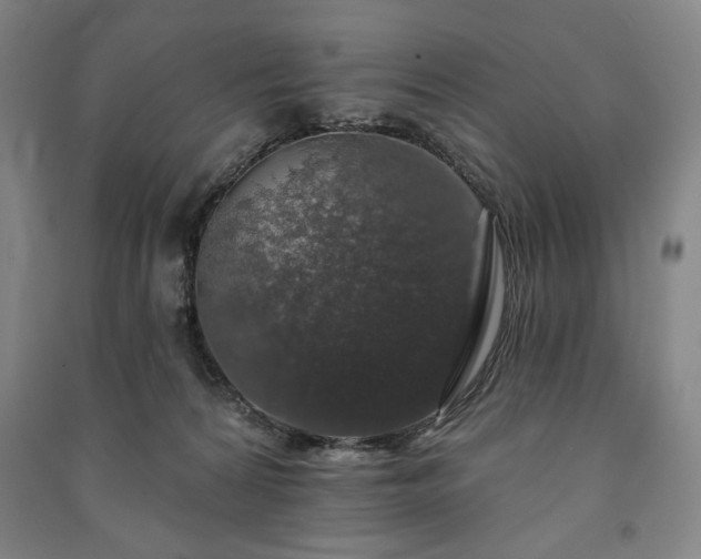 X0000091210224200708161550