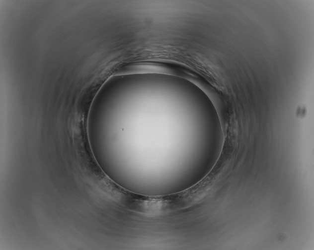 X0000091210225200708161550