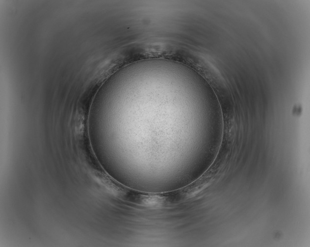X0000091210226200708161549