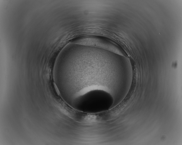X0000091210227200708161549