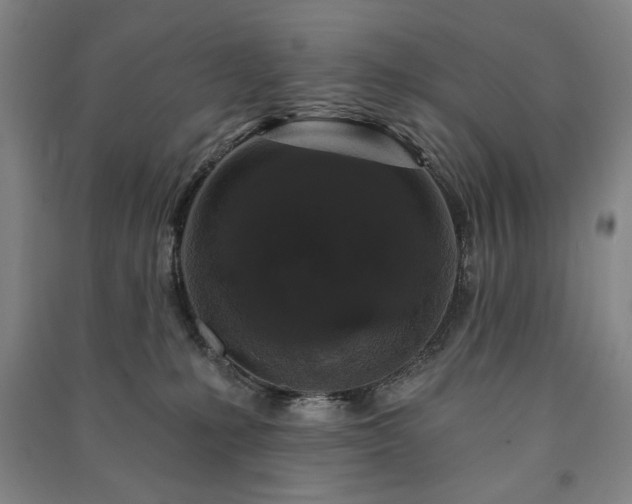 X0000091210231200708161549
