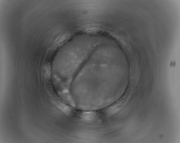 X0000091210240200708161549