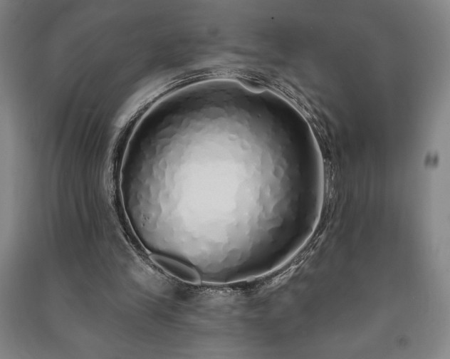 X0000091210245200708161549