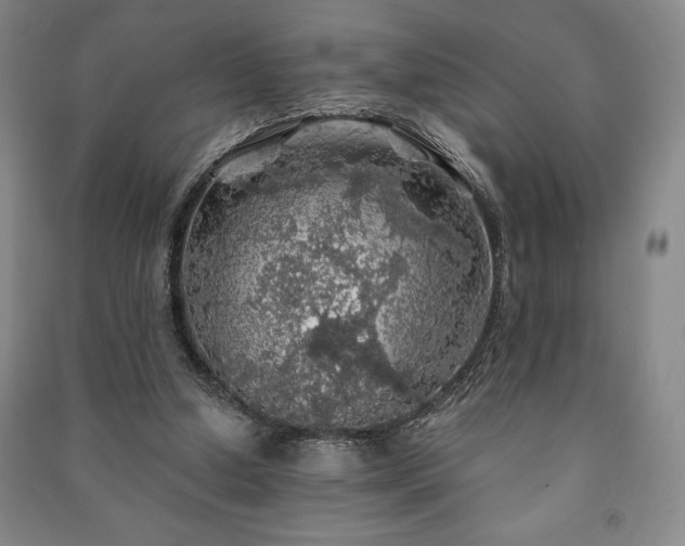 X0000091210250200708161549