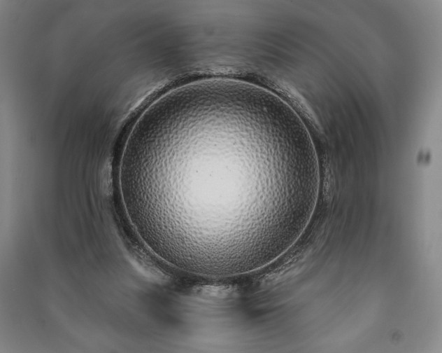 X0000091210251200708161549