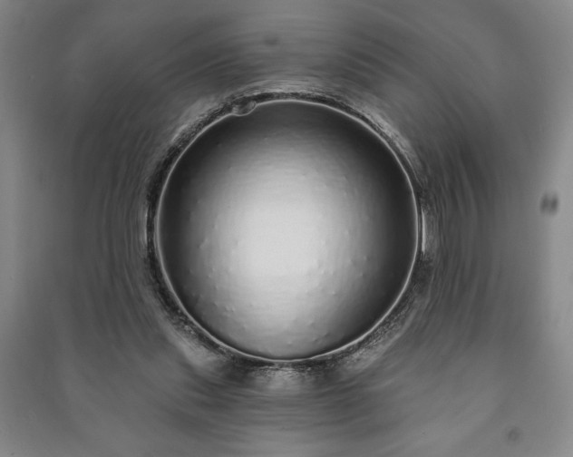 X0000091210253200708161549