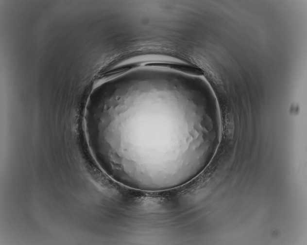 X0000091210255200708161549