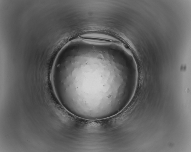 X0000091210257200708161549