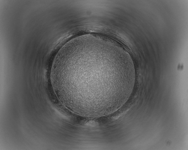 X0000091210258200708161549