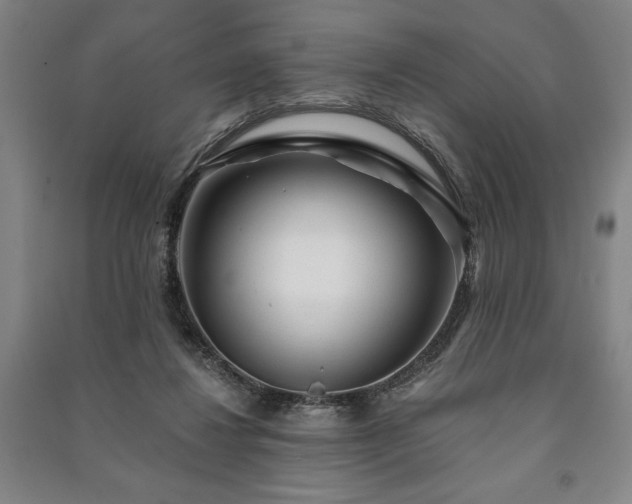 X0000091210260200708161549