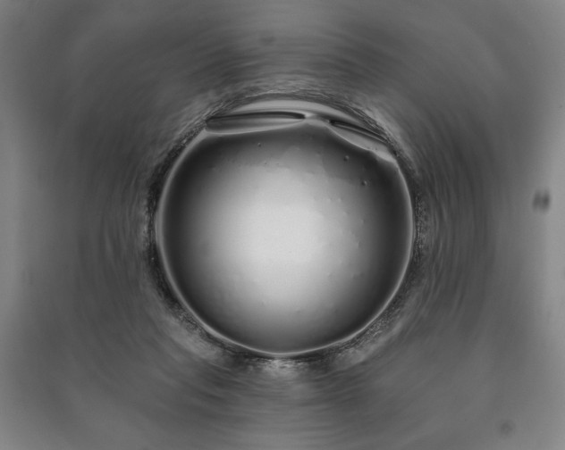 X0000091210261200708161549