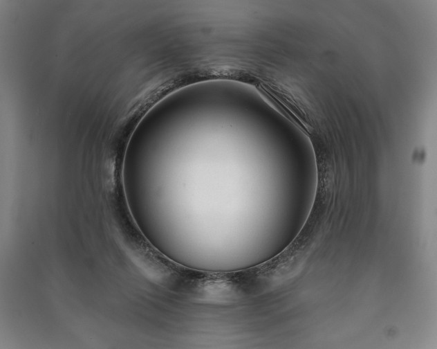 X0000091210262200708161549