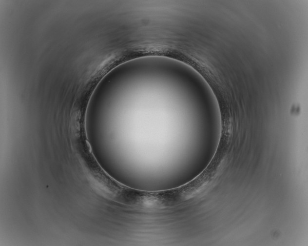 X0000091210264200708161549