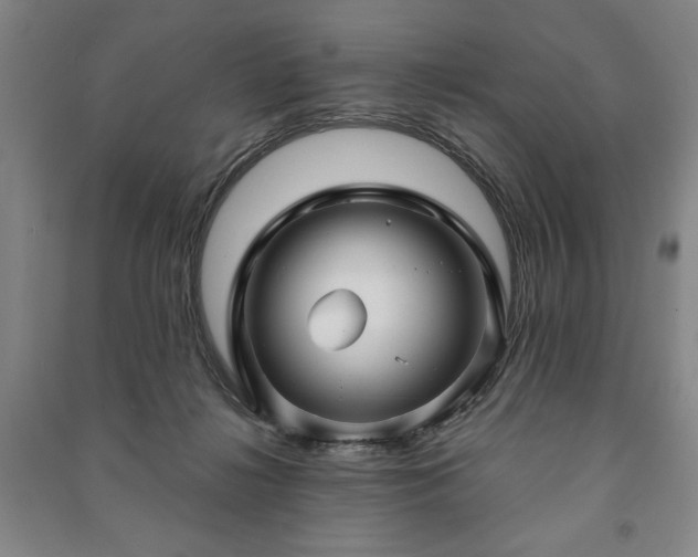 X0000091210268200708161549