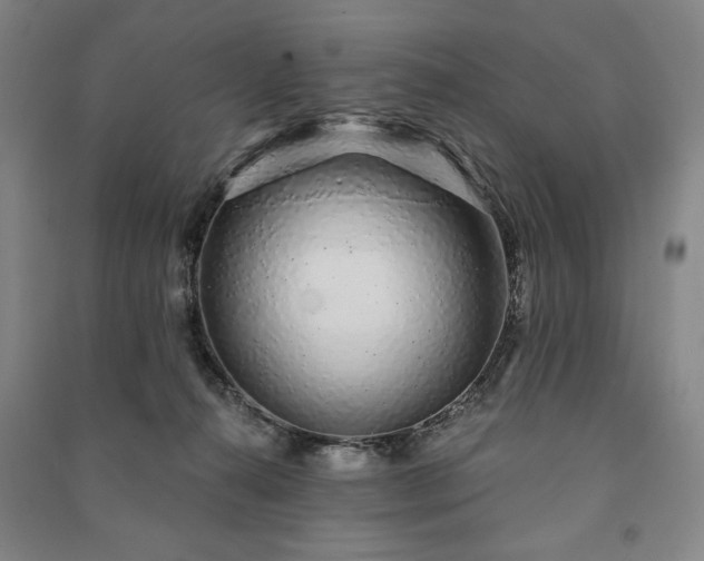 X0000091210272200708161549
